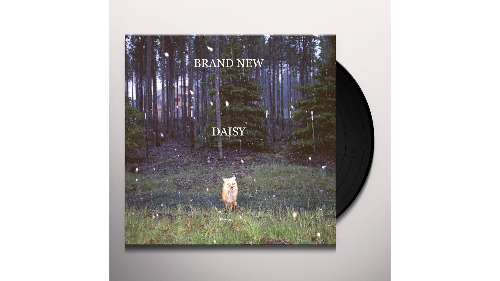 Brand New Daisy Vinyl Record