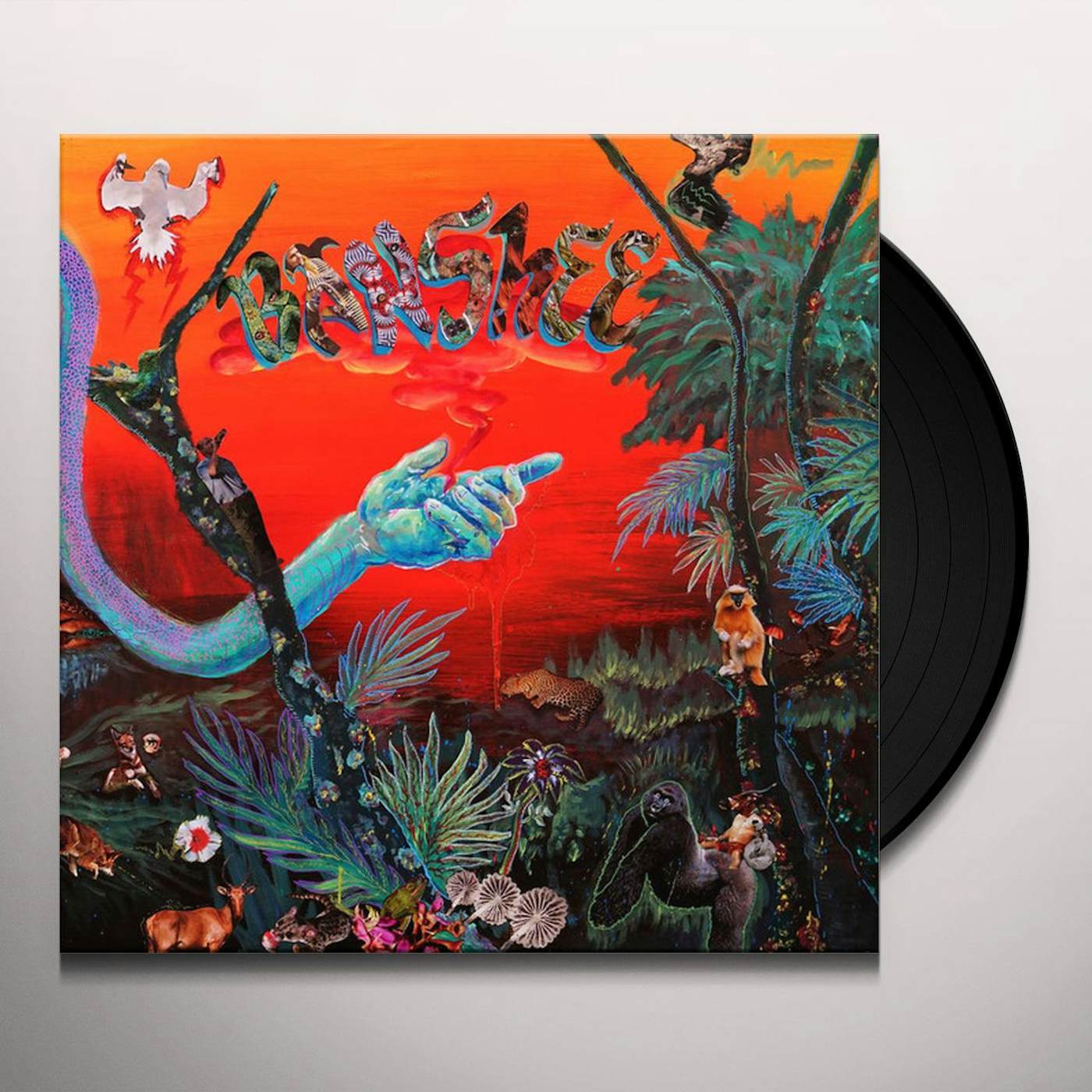 Banshee Livin In The Jungle Vinyl Record