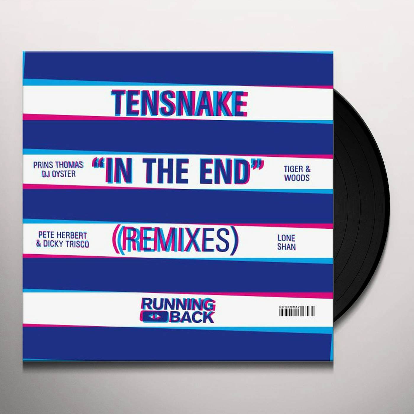 Tensnake IN THE END Vinyl Record