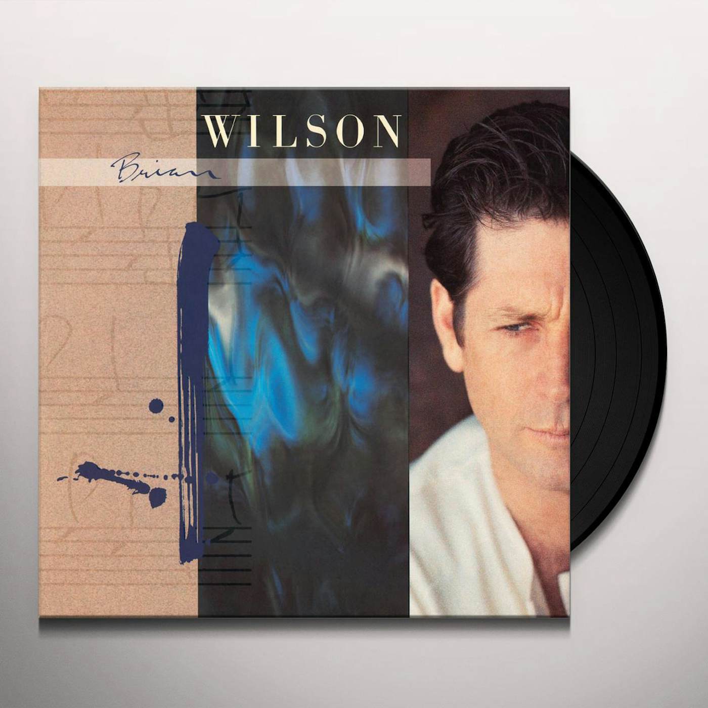 Brian Wilson Vinyl Record