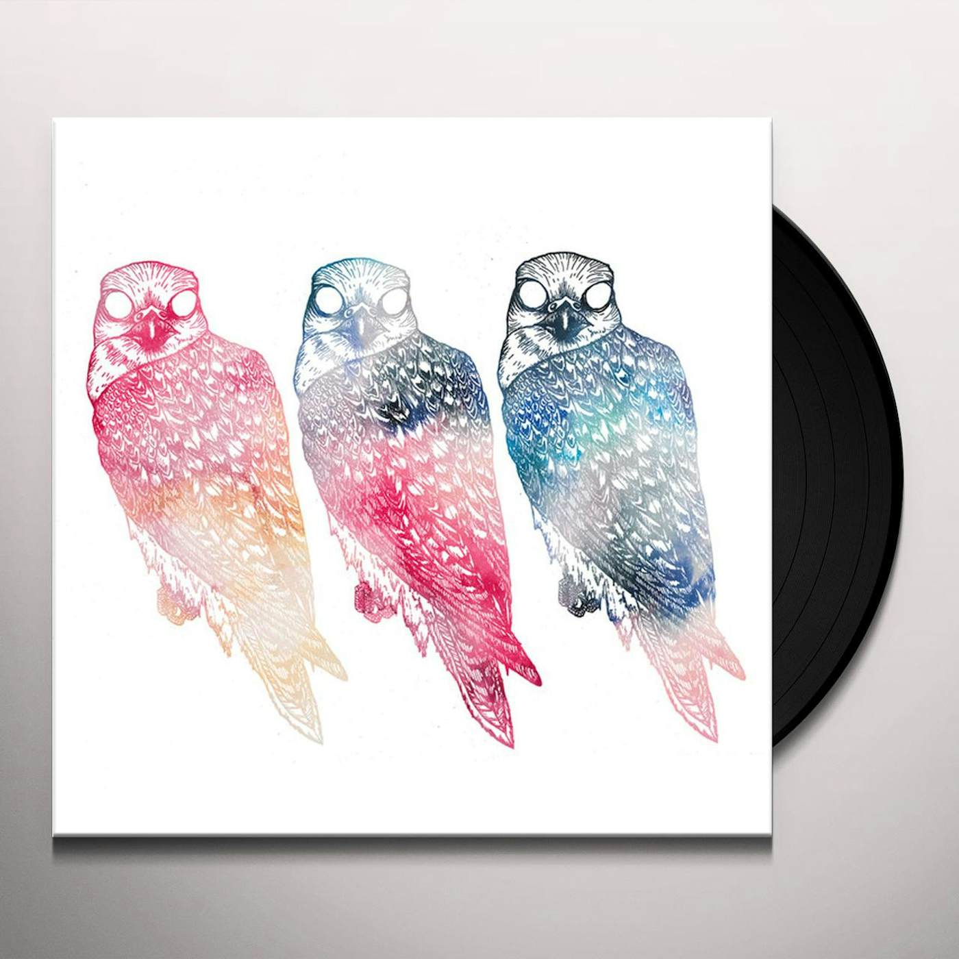 Flyying Colours Mindfullness Vinyl Record