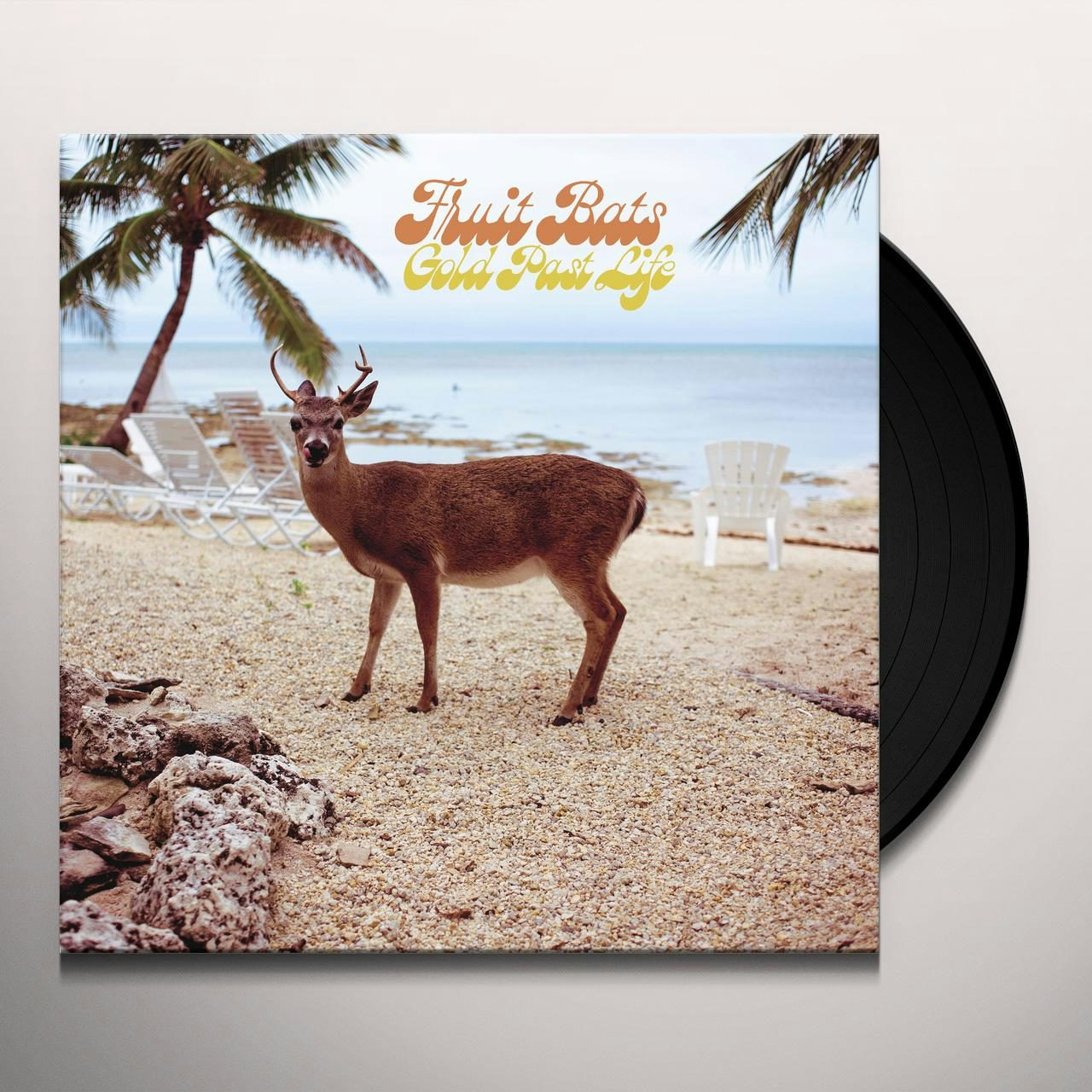Fruit Bats GOLD PAST LIFE Vinyl Record