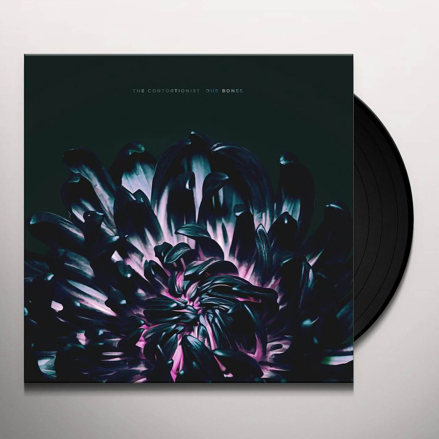 The Contortionist Our Bones Vinyl Record