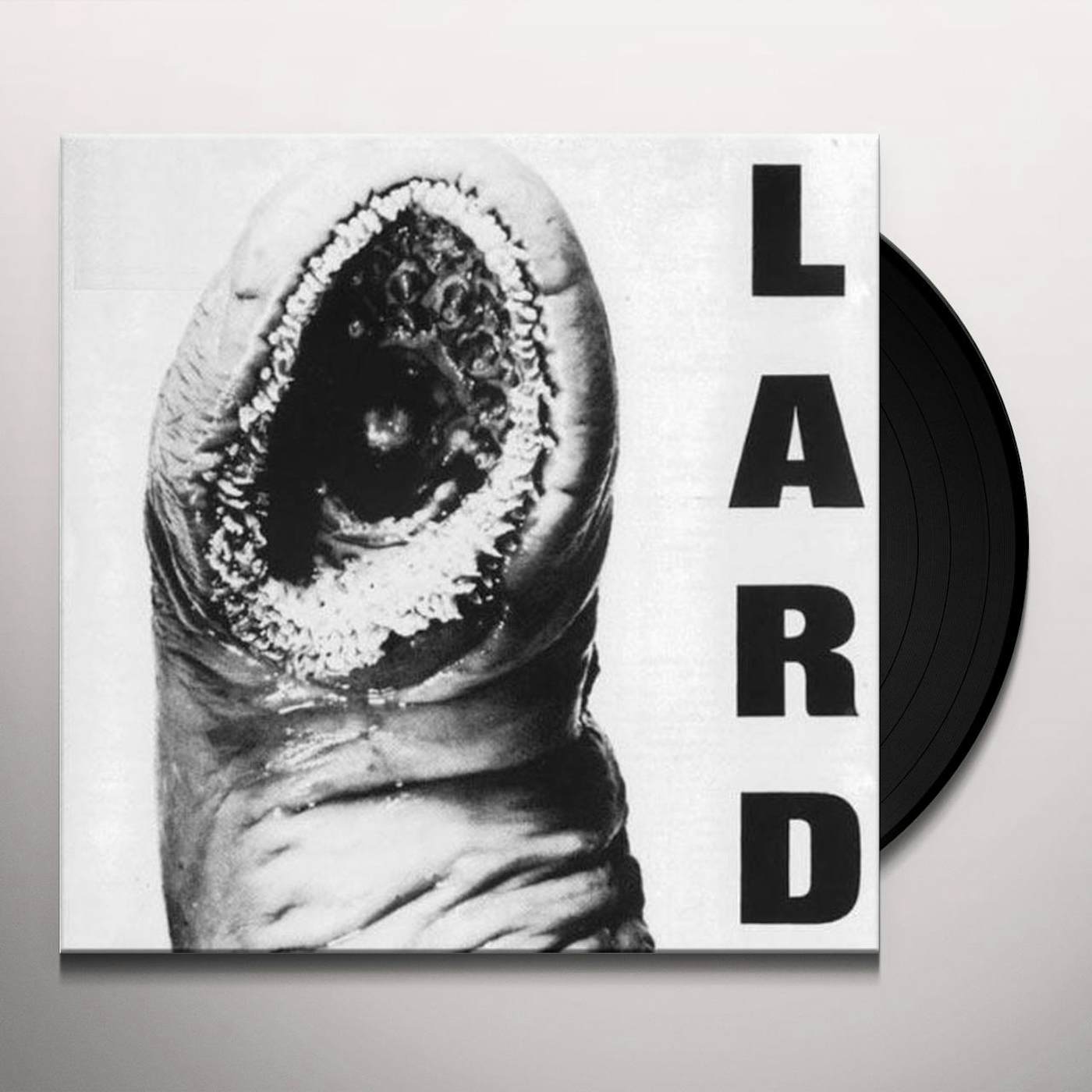 POWER OF LARD Vinyl Record