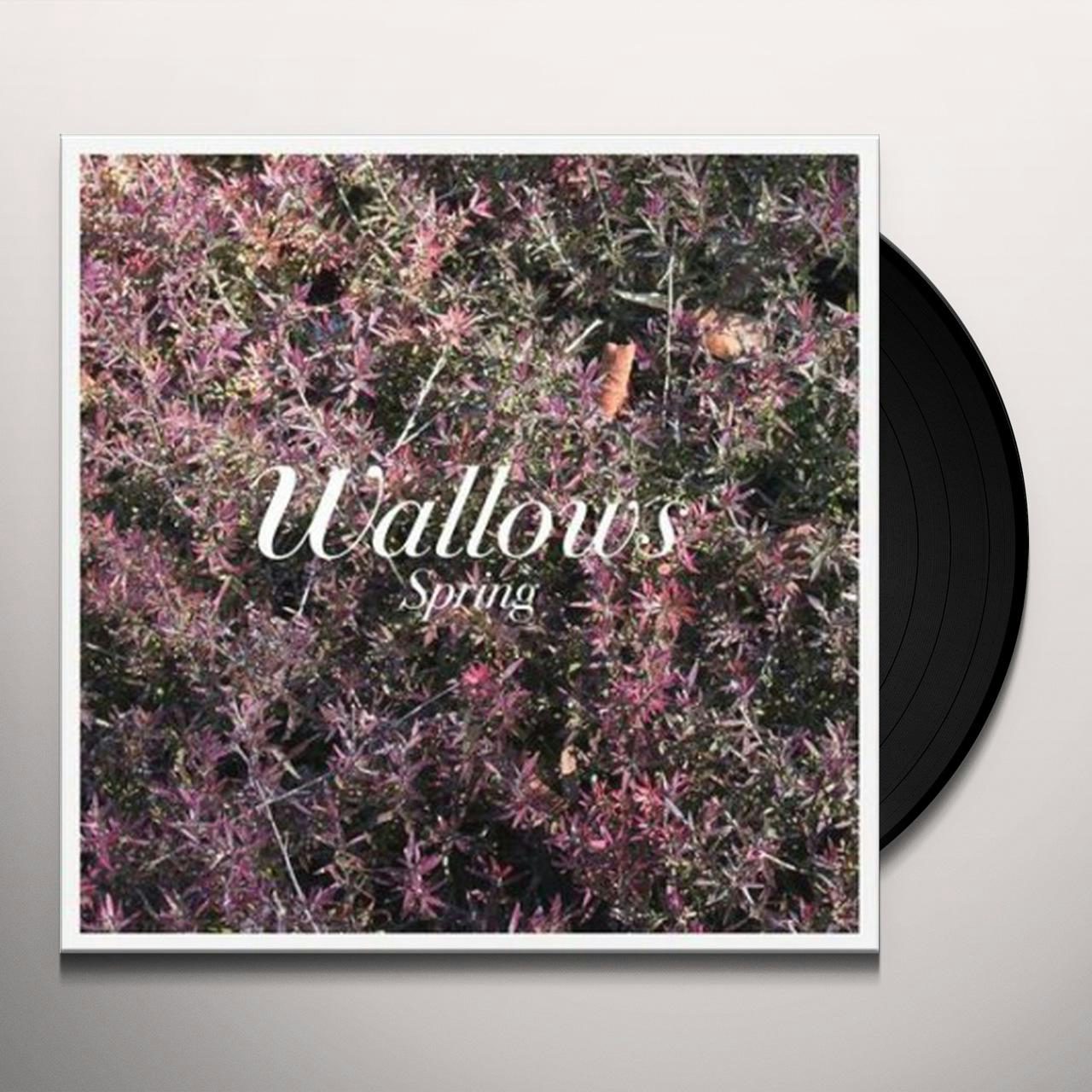 Wallows SPRING Vinyl Record