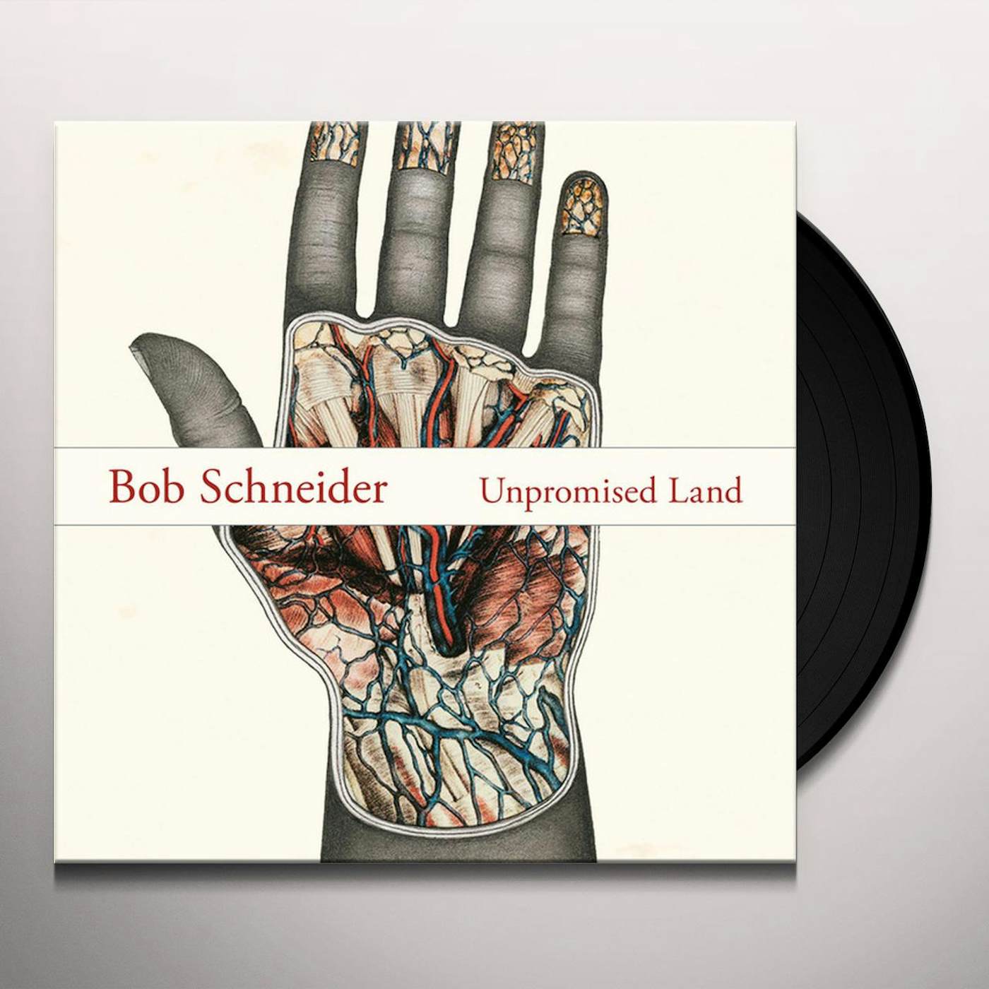 Bob Schneider Unpromised Land Vinyl Record