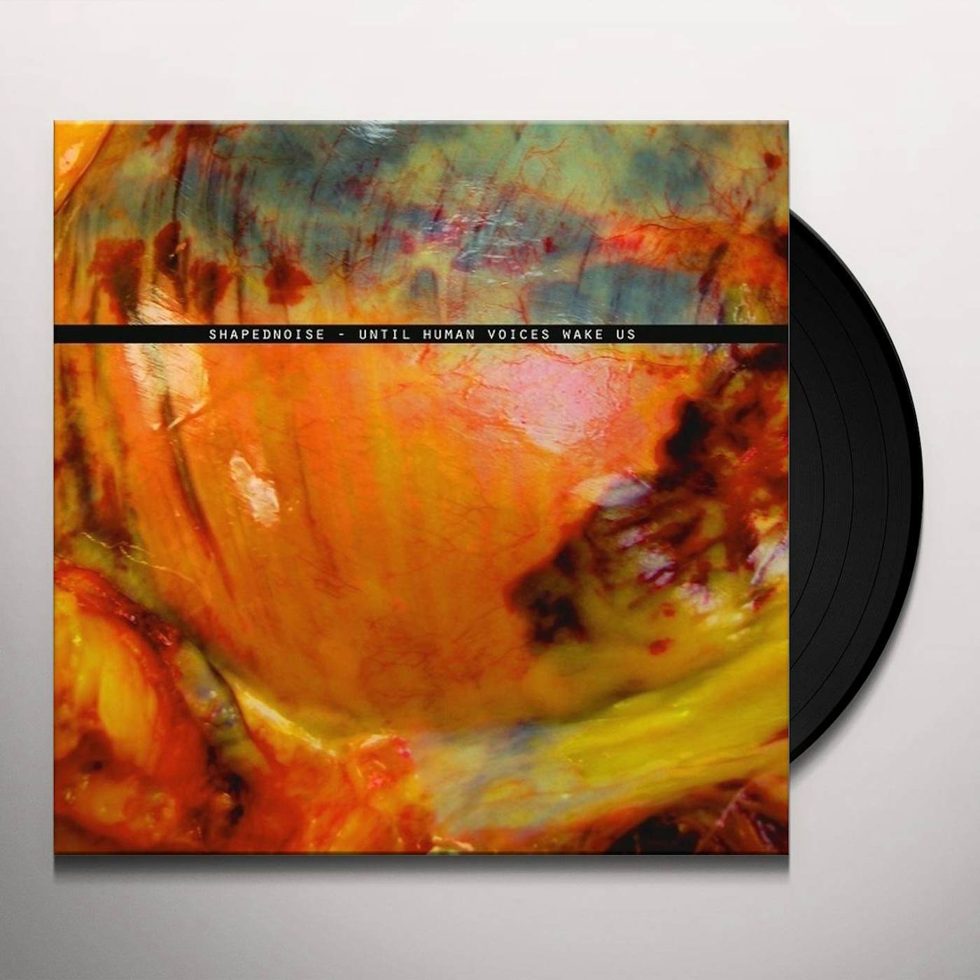 Shapednoise Until Human Voices Wake Us Vinyl Record