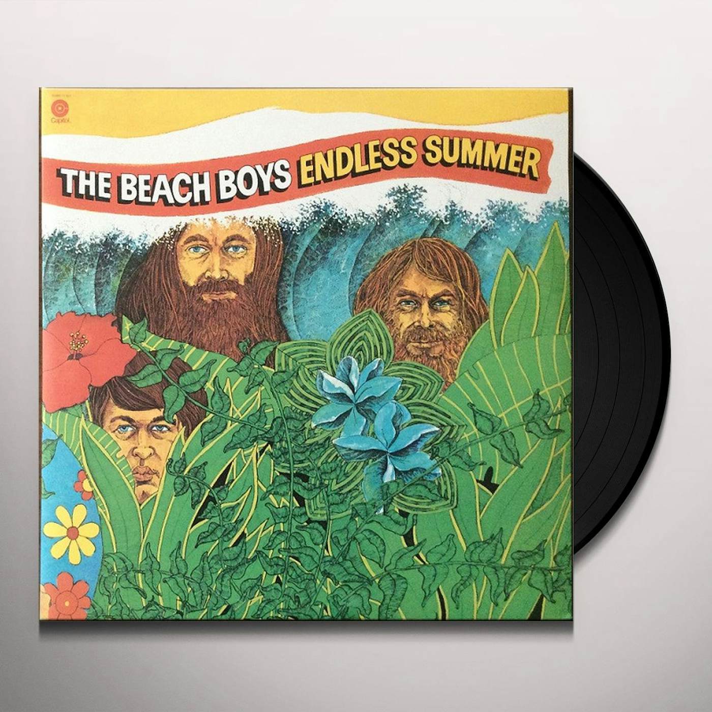 The Beach Boys Endless Summer Vinyl Record