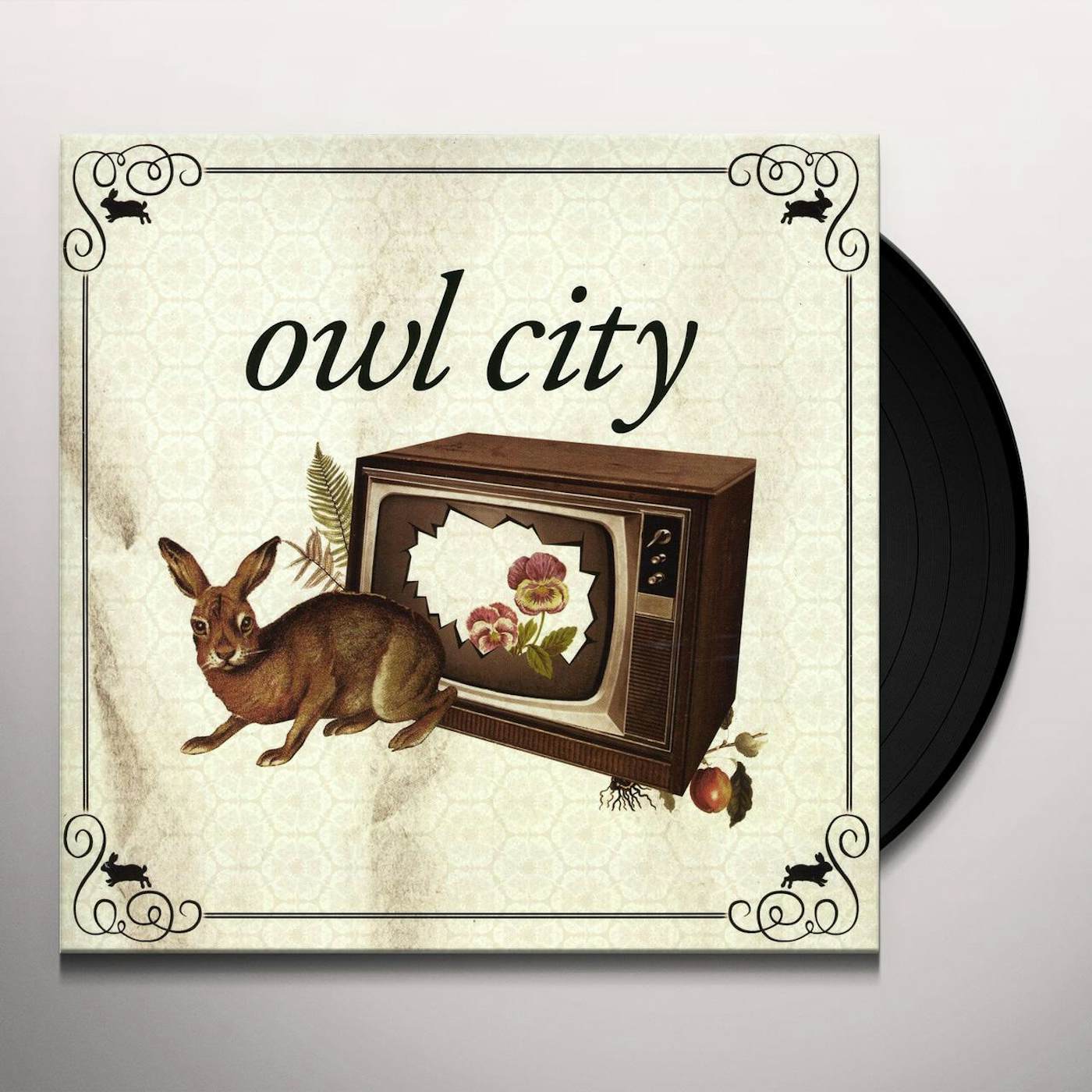 OWL CITY RECORD STORE DAY Vinyl Record