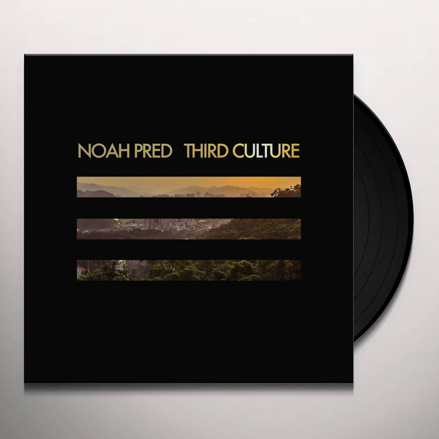 Noah Pred Third Culture Vinyl Record