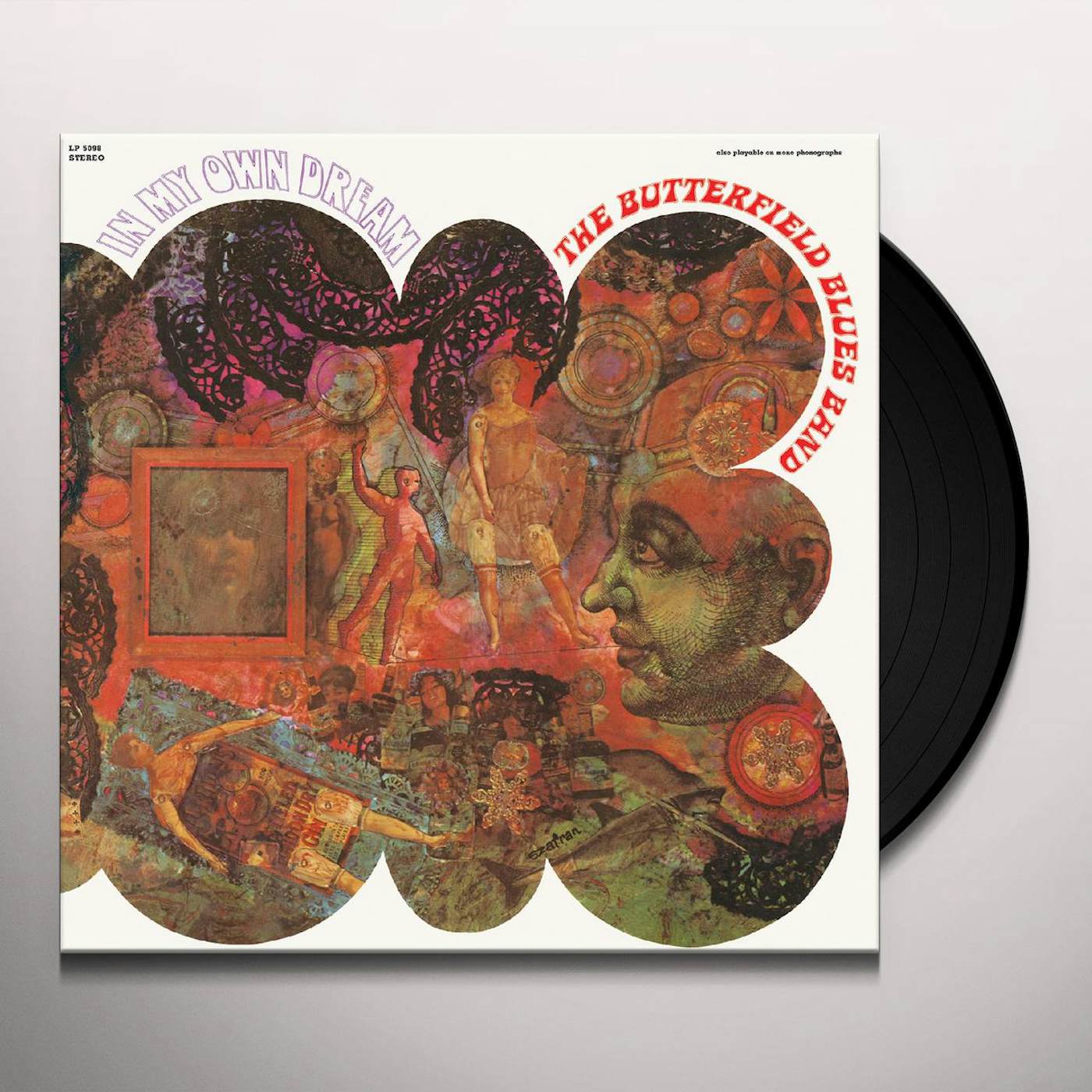 Paul Butterfield In My Own Dream Vinyl Record