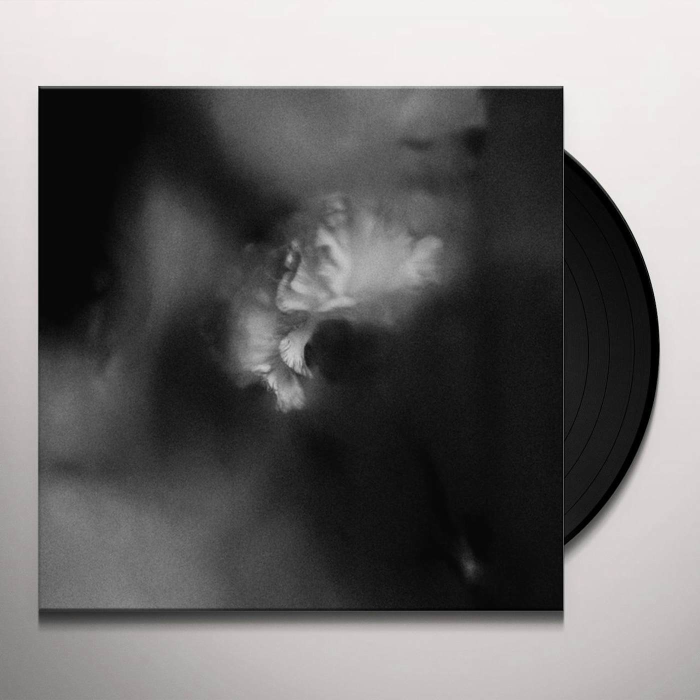 Holding Absence Vinyl Record