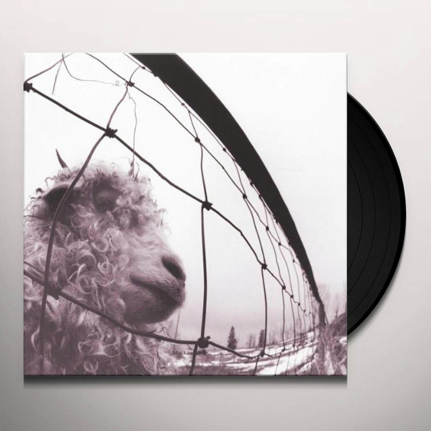 Pearl Jam VS Vinyl Record - Holland Release