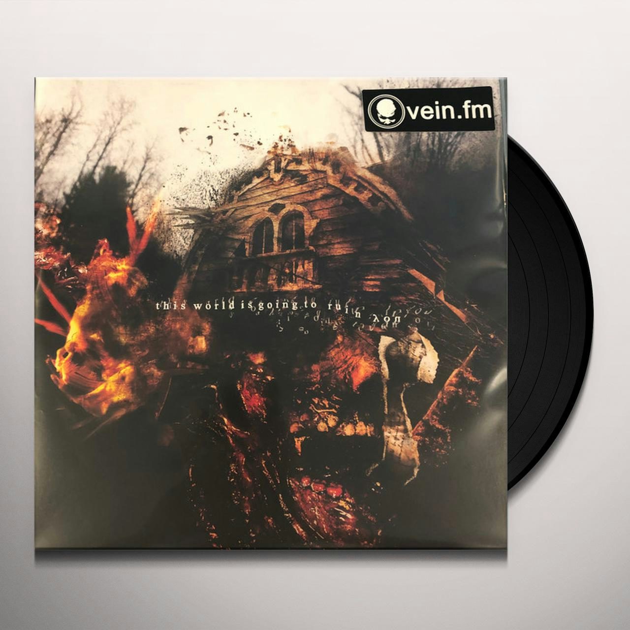 vein this world is going to ruin you vinyl