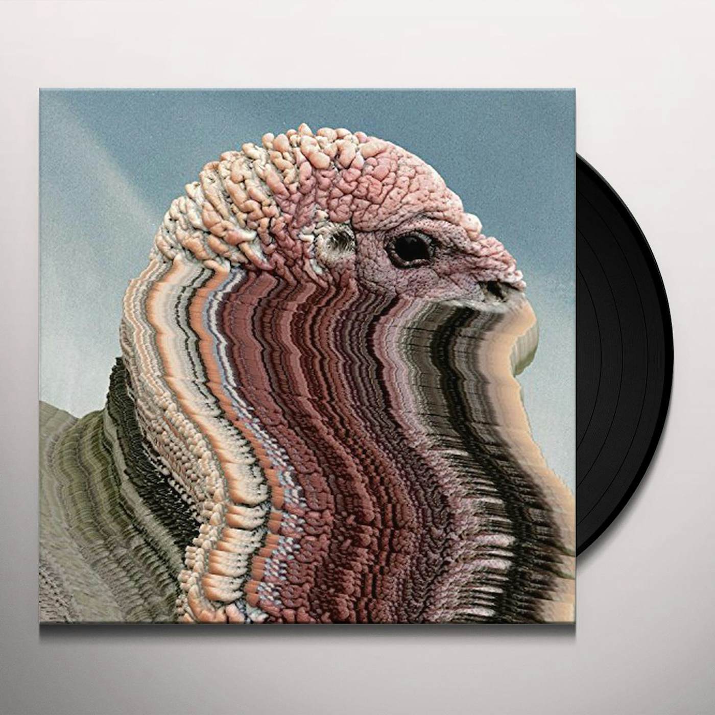Holy Fuck Bird Brains Vinyl Record