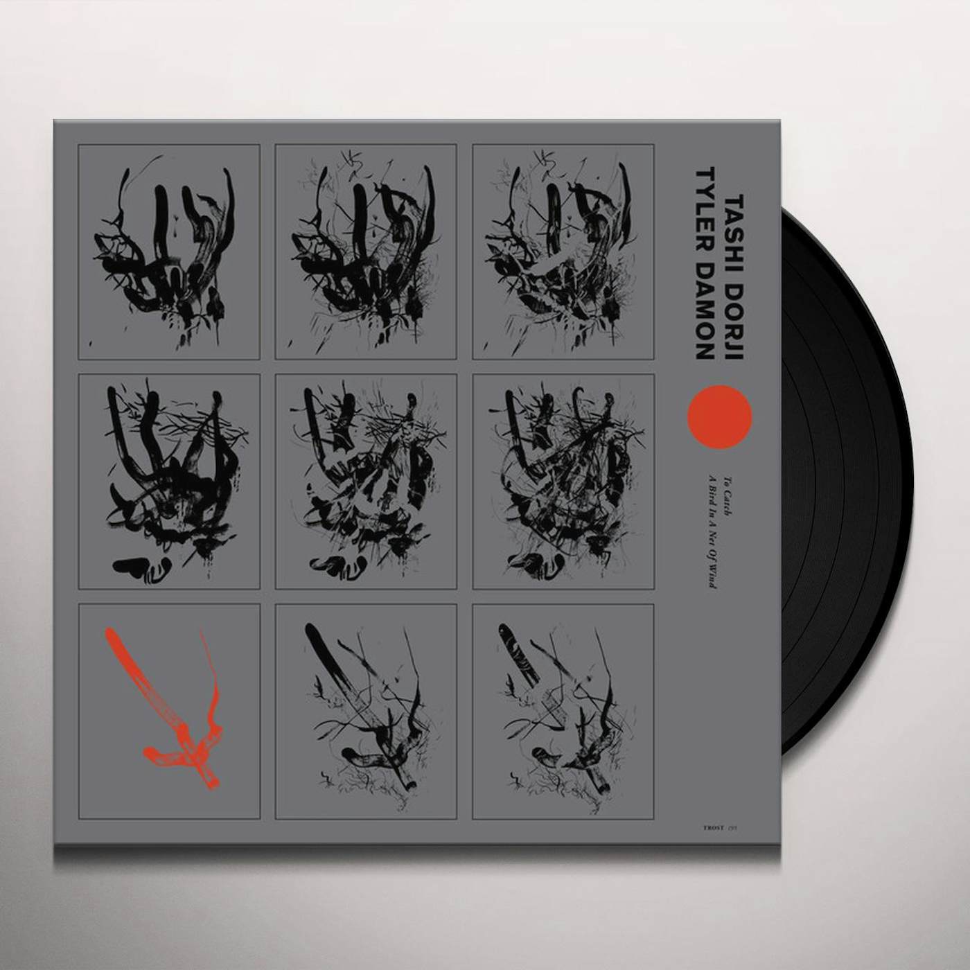 Tashi Dorji & Tyler Damon TO CATCH A BIRD IN A NET OF WIND Vinyl Record