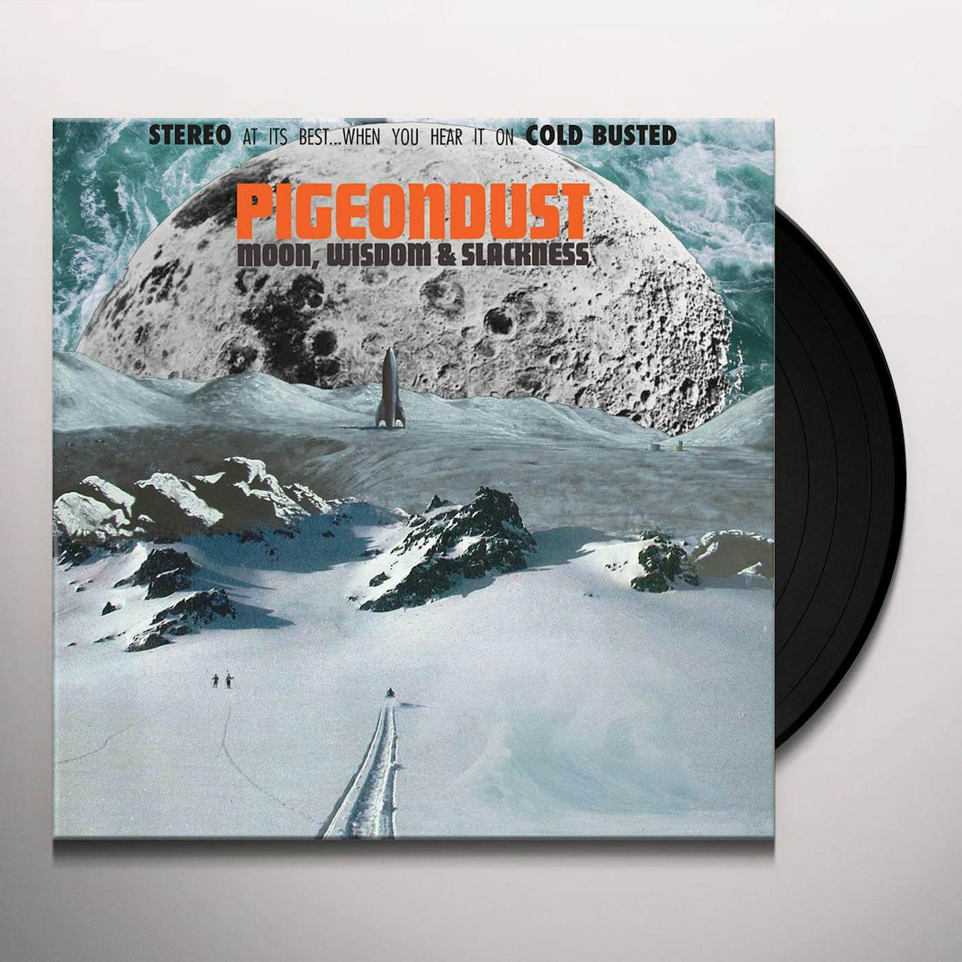 Pigeondust MOON WISDOM & SLACKNESS Vinyl Record