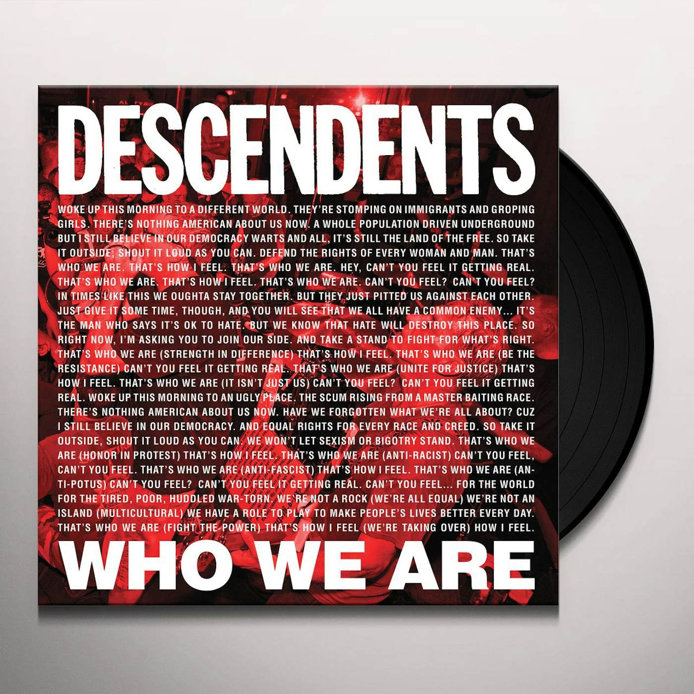 Descendents Who We Are Vinyl Record