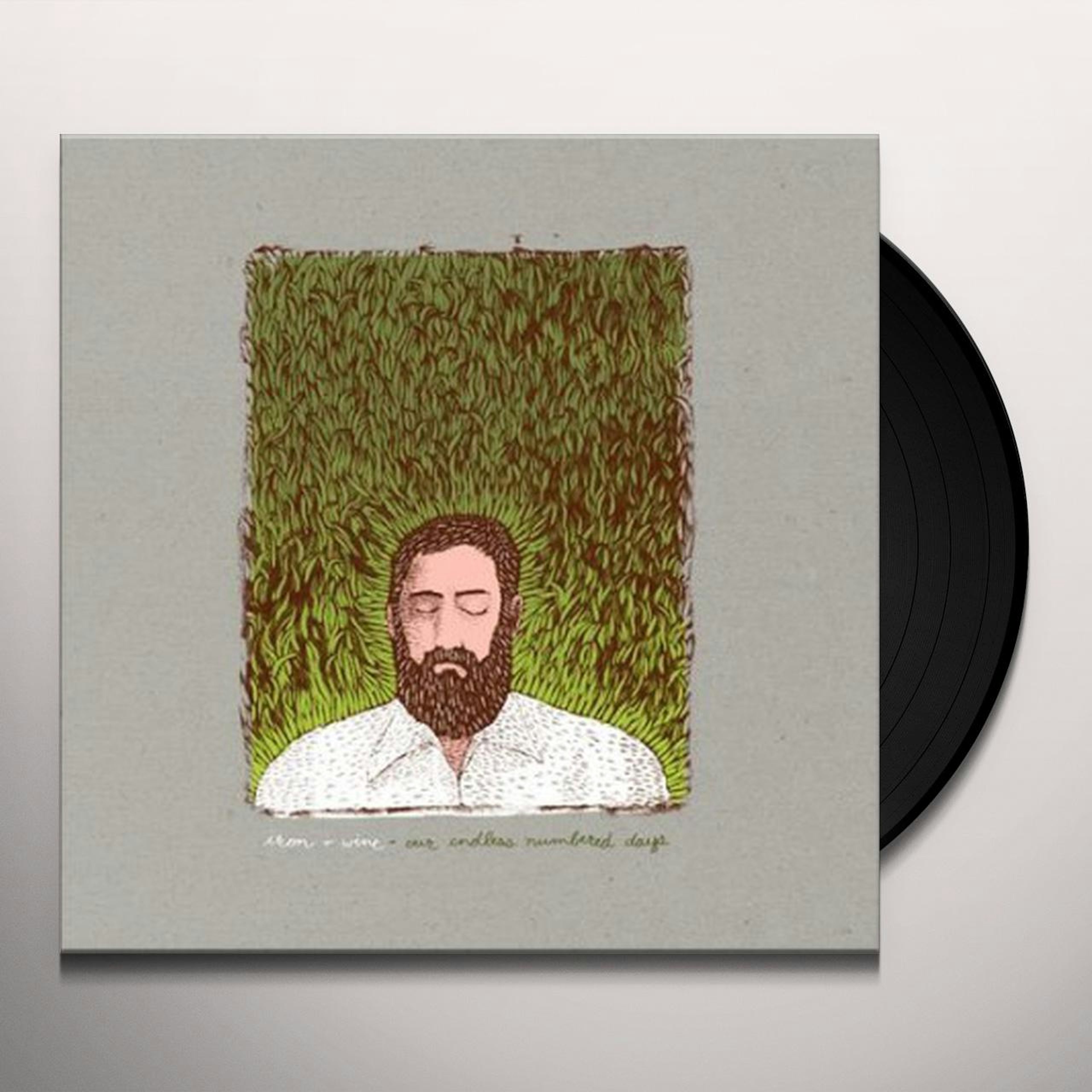 Iron & Wine OUR ENDLESS NUMBERED DAYS Vinyl Record