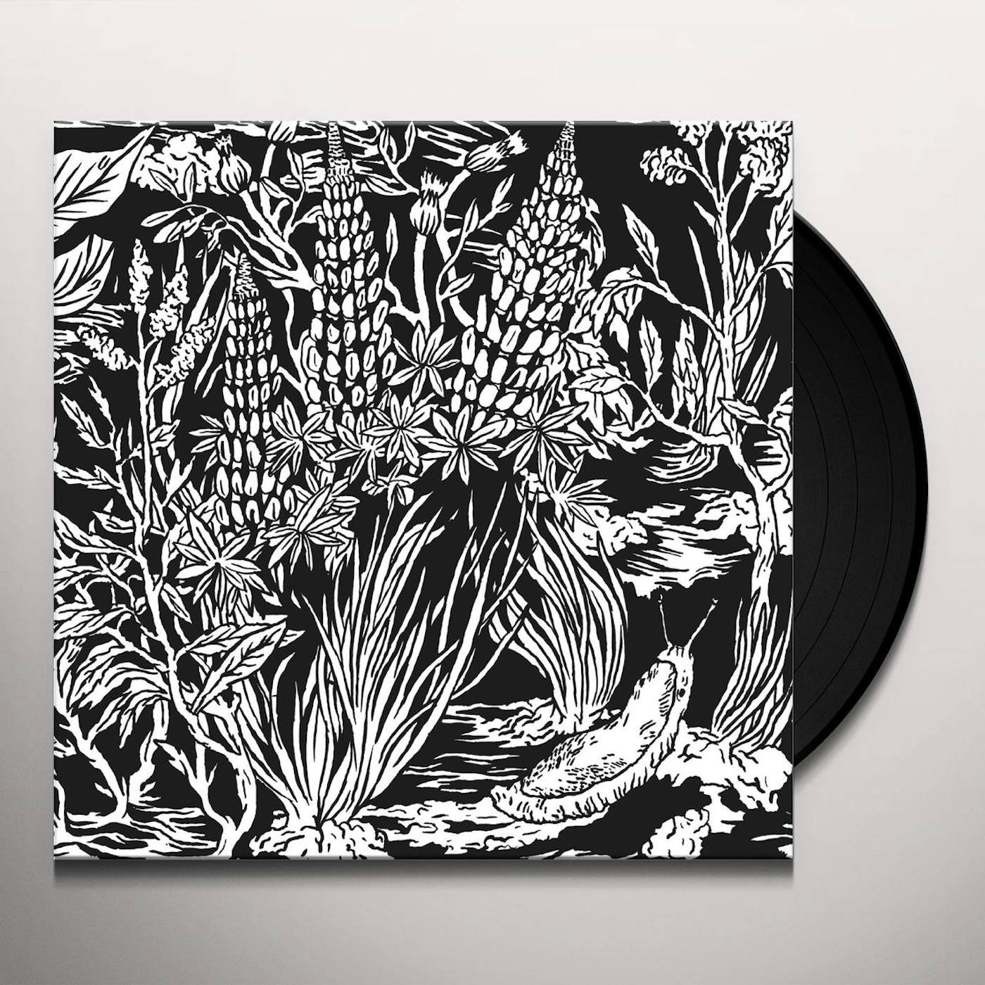 Eternal Tapestry WILD STRAWBERRIES Vinyl Record