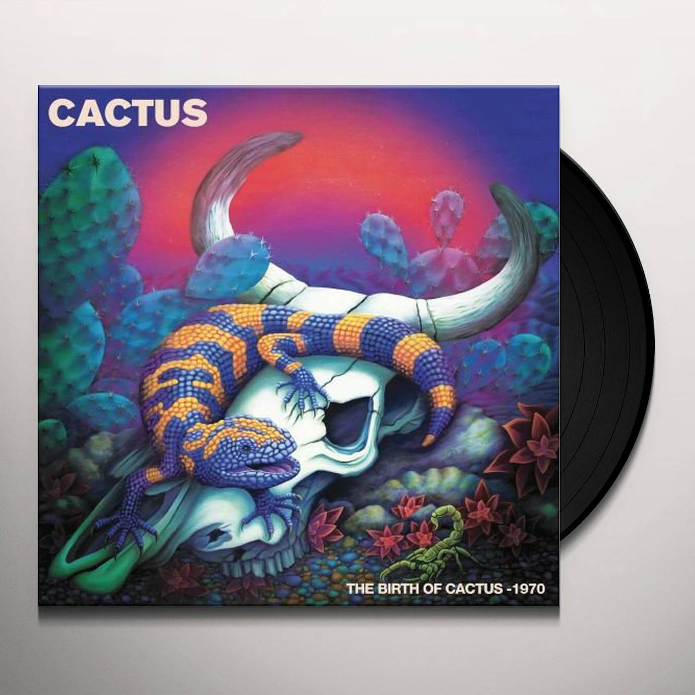 BIRTH OF CACTUS - 1970 (PURPLE VINYL) Vinyl Record