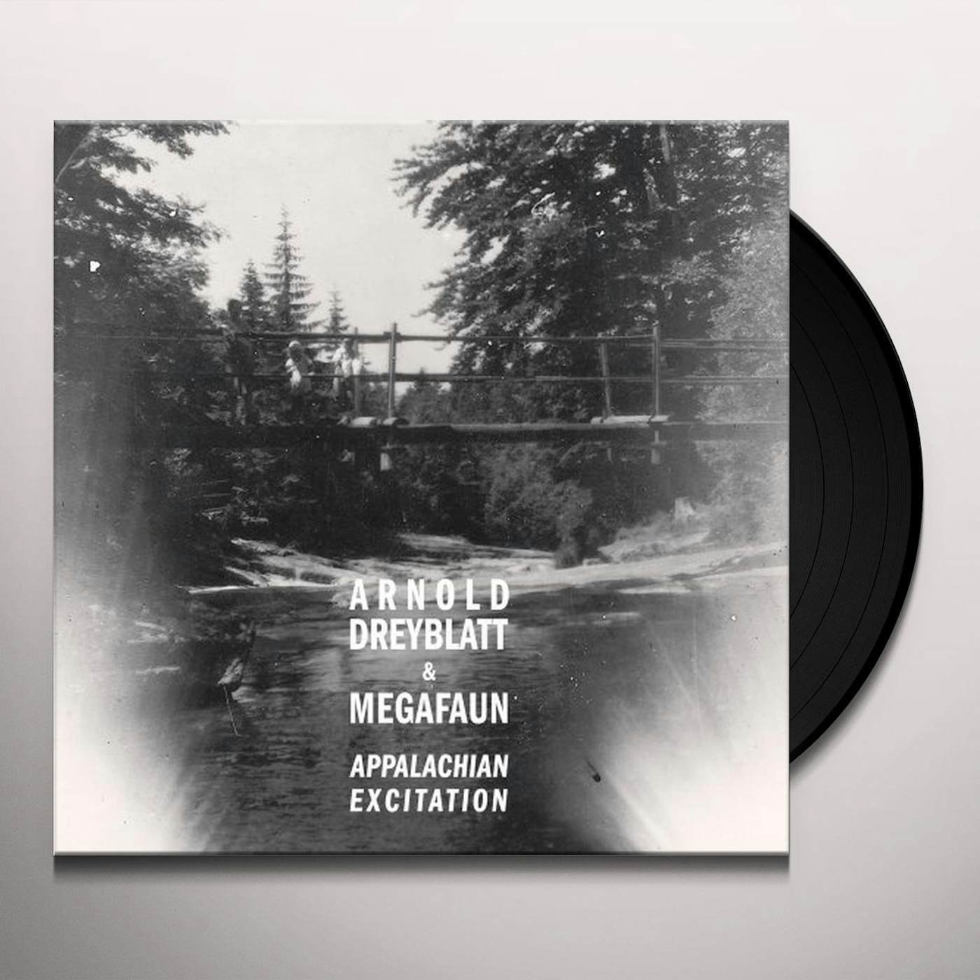 Arnold Dreyblatt Appalachian Excitation Vinyl Record