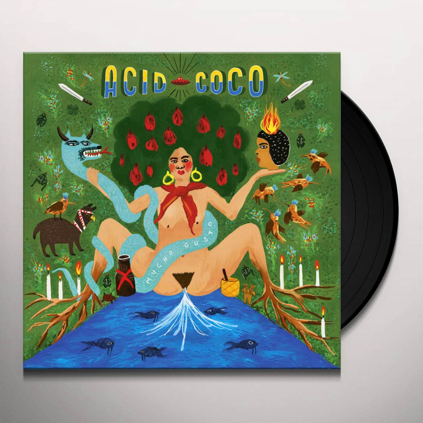 Acid Coco Mucho Gusto Vinyl Record