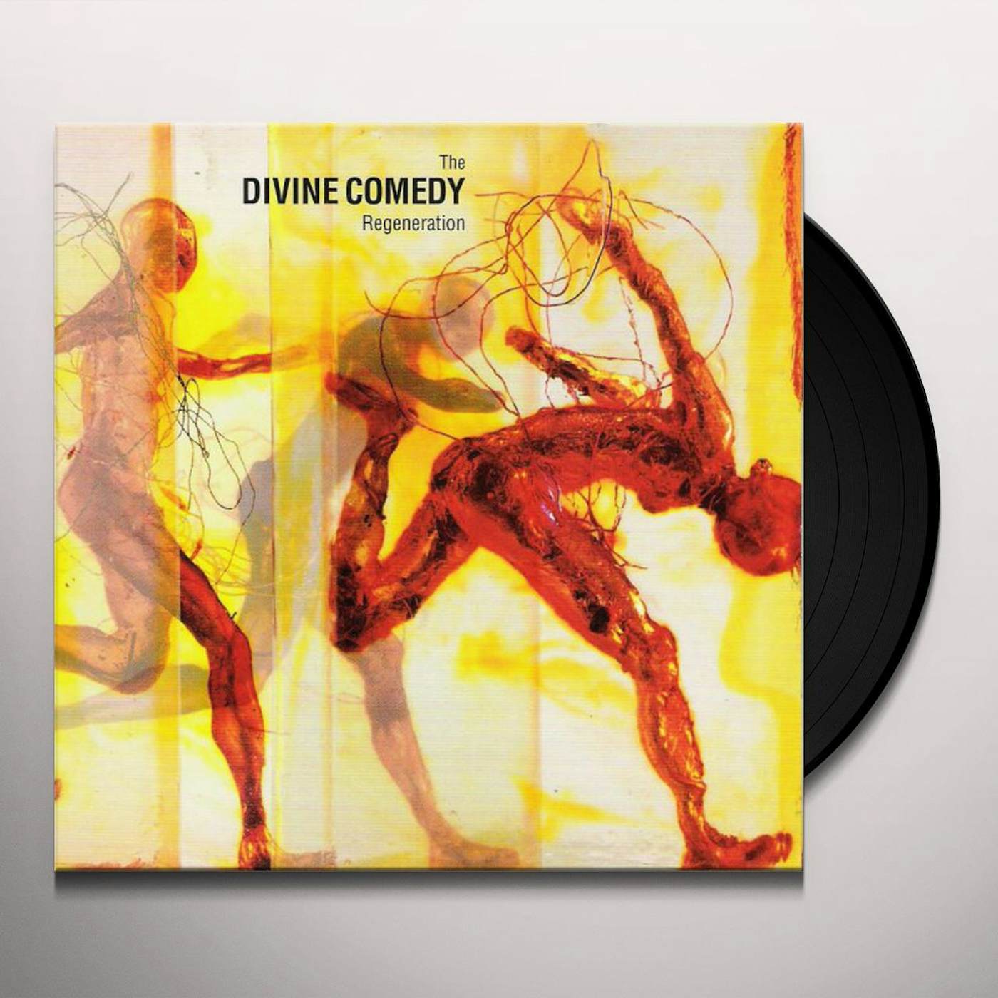 The Divine Comedy Regeneration Vinyl Record