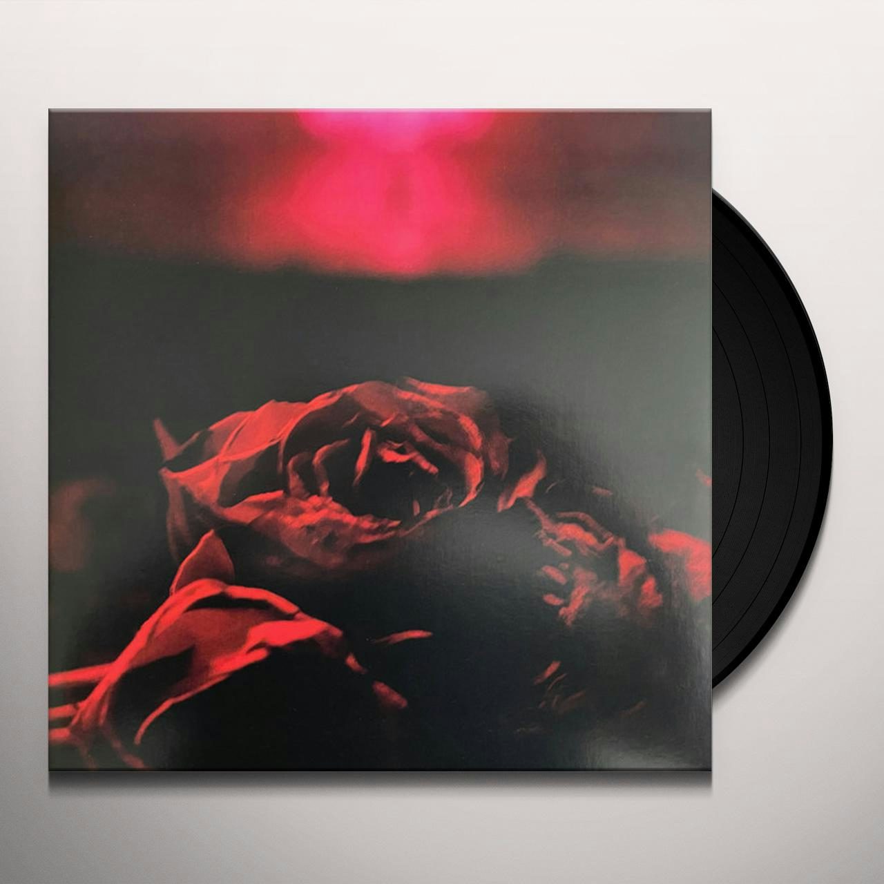 The Paper Kites ROSES Vinyl Record