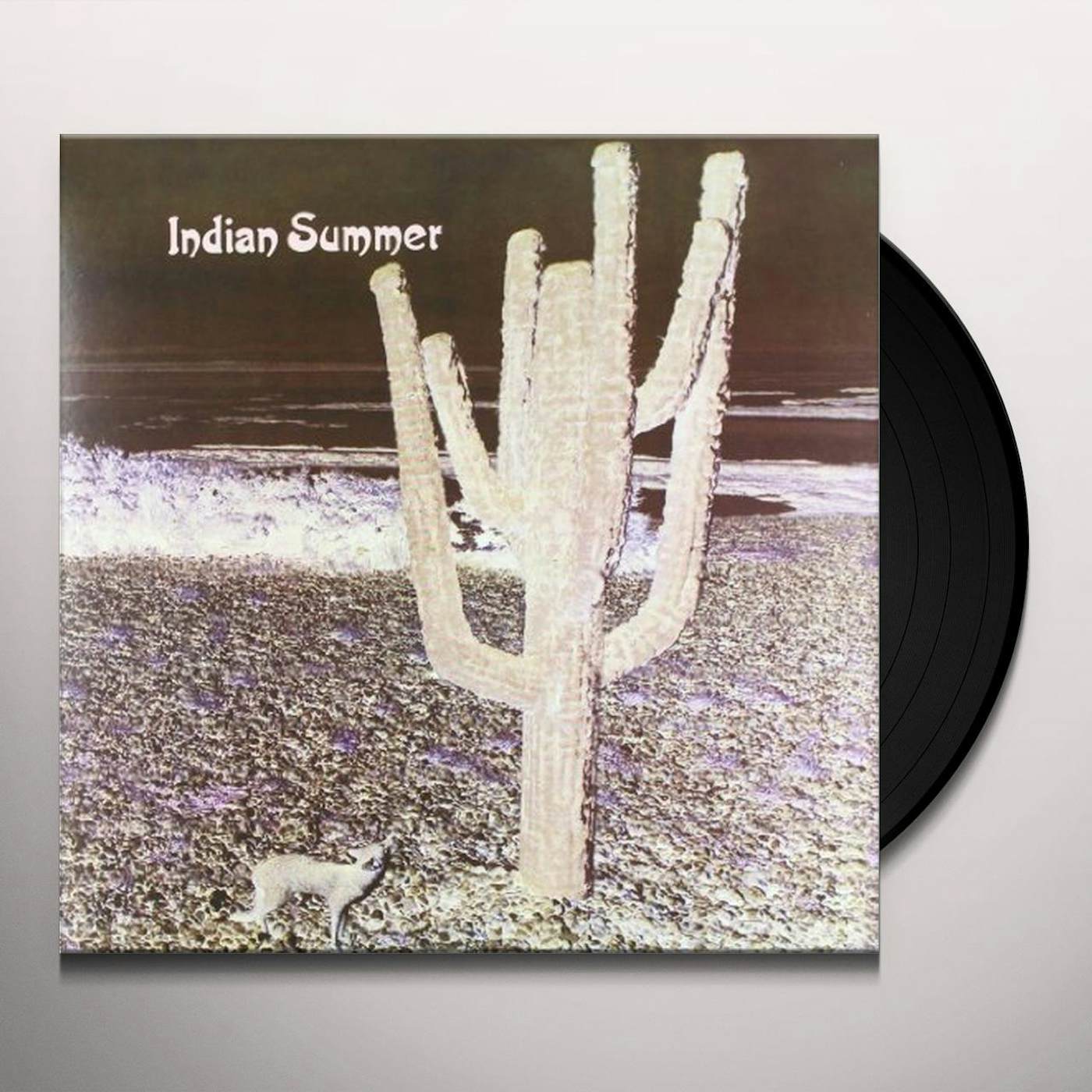 Indian Summer Vinyl Record