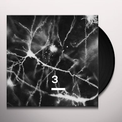 Synapse KNOWING SOMETHING 3 Vinyl Record