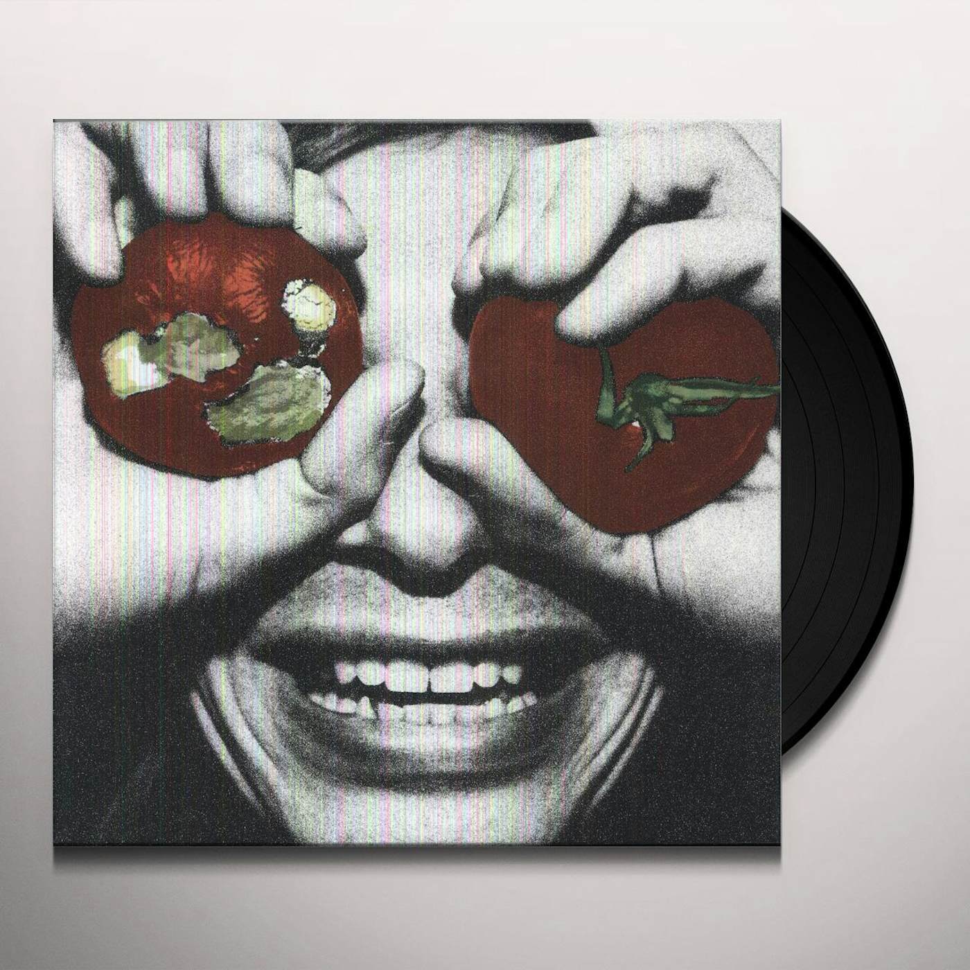 Terry Malts NOBODY REALIZES Vinyl Record