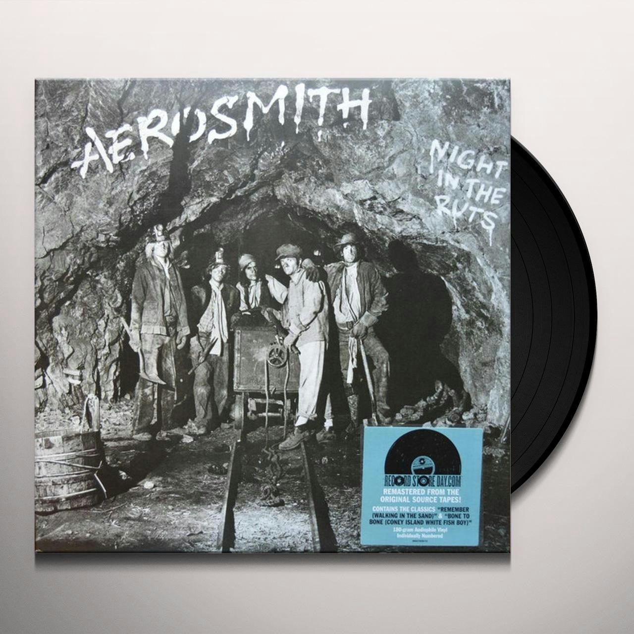 AEROSMITH NIGHT IN THE RUTS レコード - 洋楽