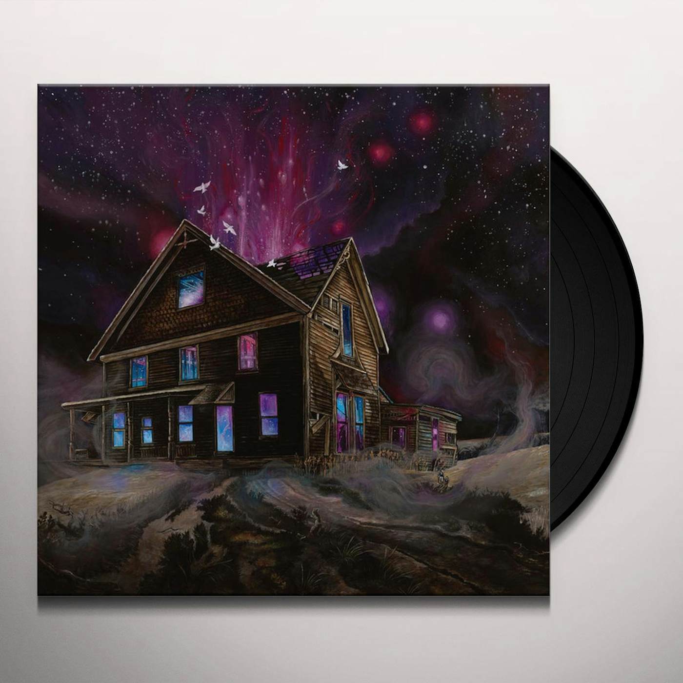 Ancestors Suspended in Reflections Vinyl Record