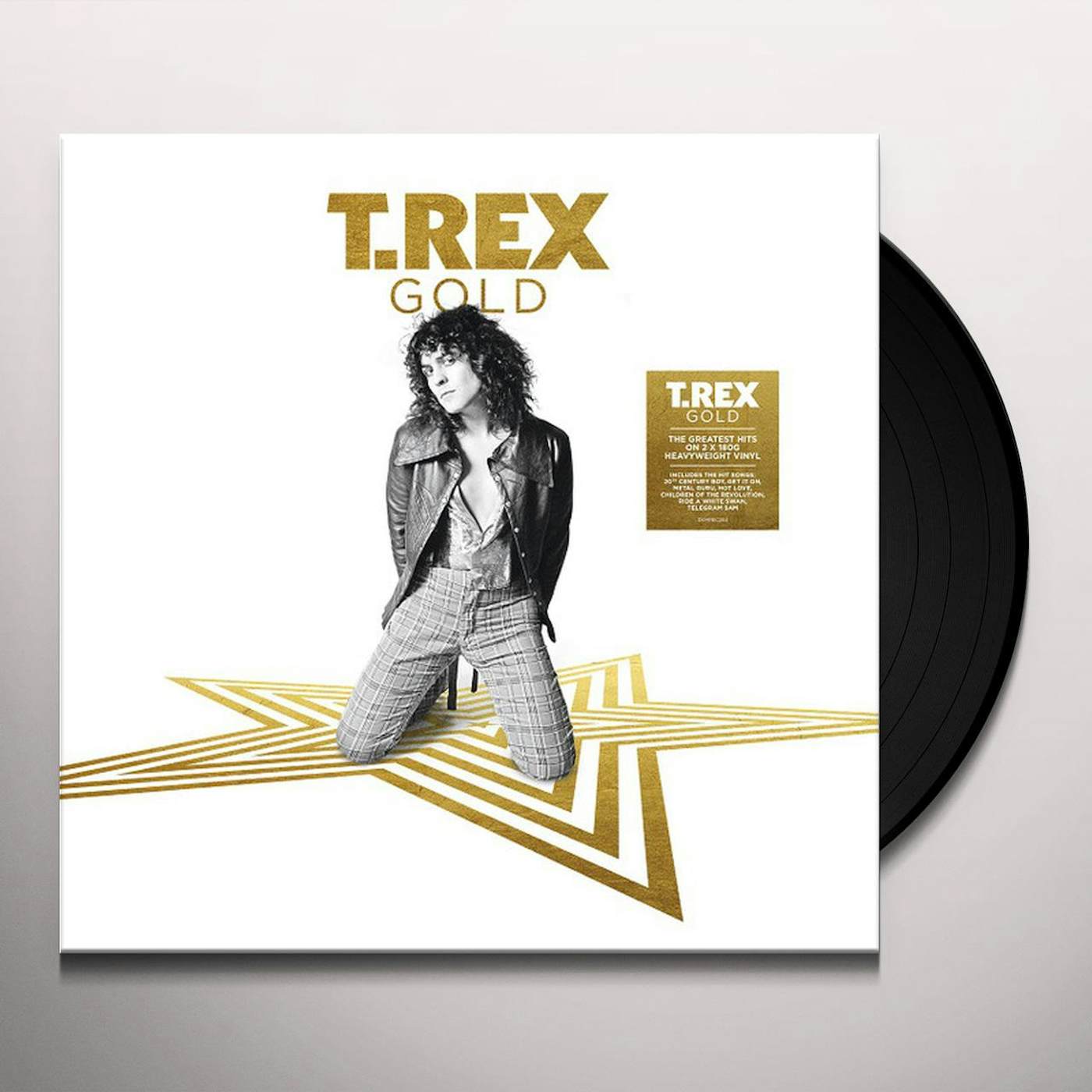 T. Rex GOLD Vinyl Record