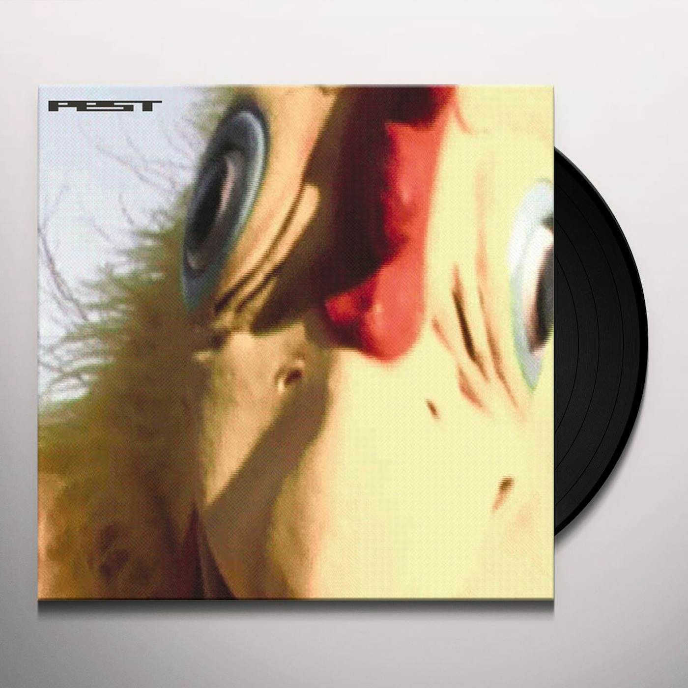 Pest Chicken Spit Vinyl Record