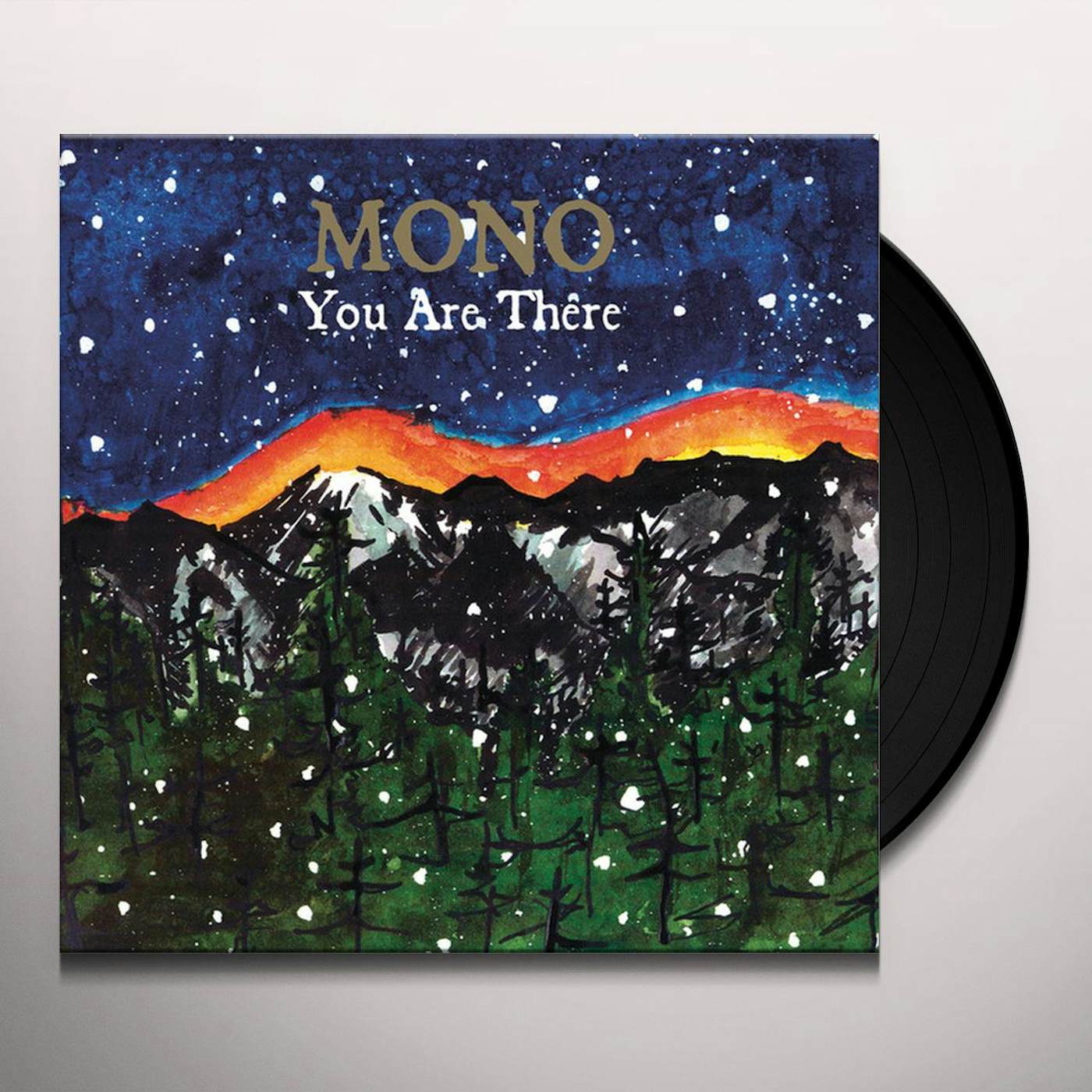 MONO You Are There Vinyl Record