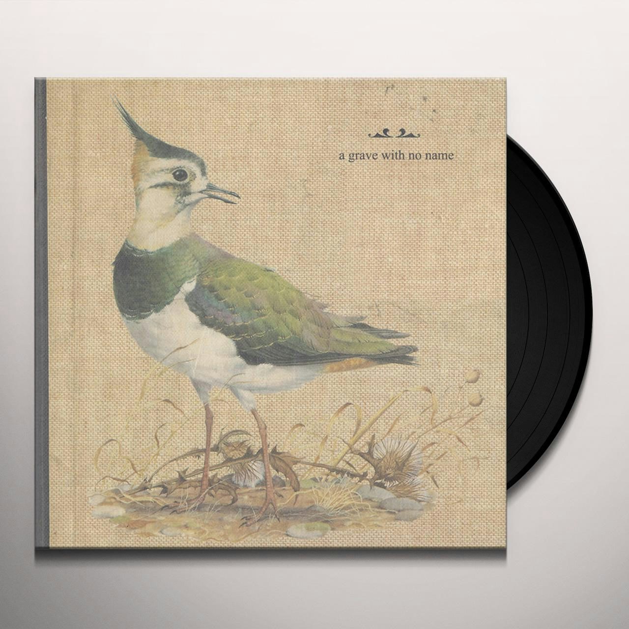 A Grave With No Name FEATHERS WET UNDER THE MOON Vinyl Record